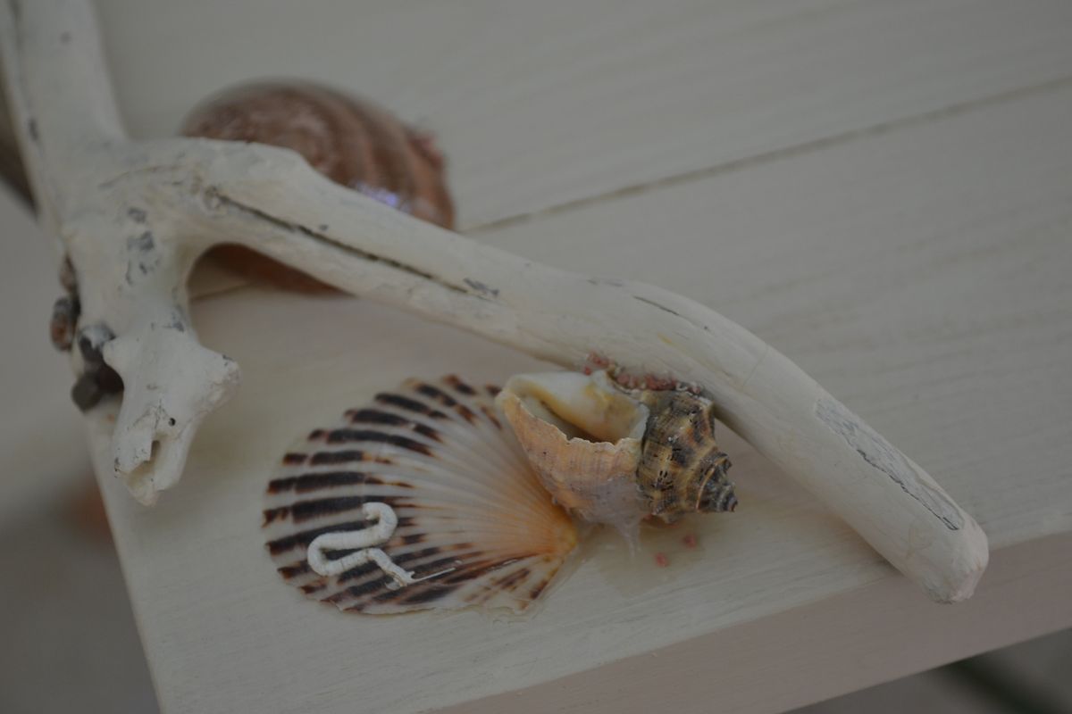 Marine Themed Wedding Set with Driftwood and Gauze